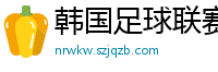 韩国足球联赛